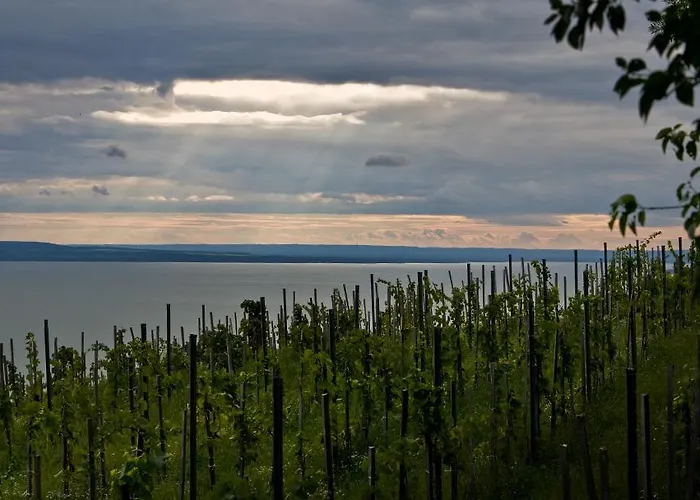 דירה Castelinho Apartmanhaz גיינסדיאס